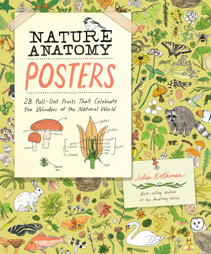 Nature Anatomy Posters: 28 Pull-Out Prints That Celebrate the Wonders of the Natural World (Anatomy) book cover by Julia Rothman