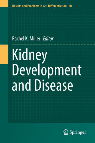 Kidney Development and Disease (Results and Problems in Cell Differentiation #60) book cover by 