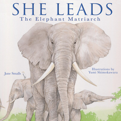 She Leads: The Elephant Matriarch book cover by June Smalls