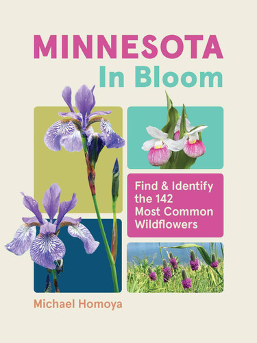 Minnesota in Bloom: Find and Identify the 142 Most Common Wildflowers (In Bloom) book cover by Michael Homoya