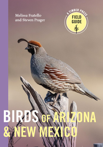 Birds of Arizona and New Mexico (A Timber Press Field Guide) book cover by Steven Prager, Melissa Fratello