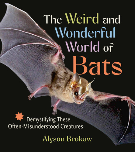 The Weird and Wonderful World of Bats: Demystifying These Often-Misunderstood Creatures book cover by Alyson Brokaw