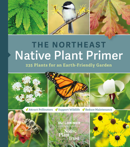 The Northeast Native Plant Primer: 235 Plants for an Earth-Friendly Garden book cover by Uli Lorimer, Native Plant Trust