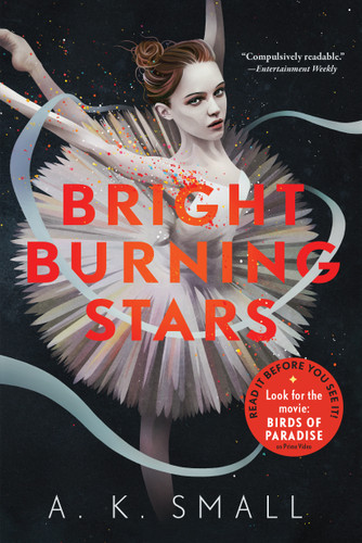 Bright Burning Stars book cover by A.K. Small