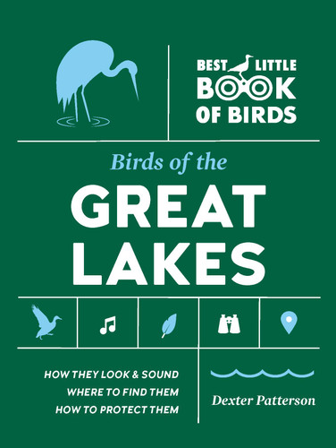 Birds of the Great Lakes (Best Little Book of Birds) book cover by Dexter Patterson