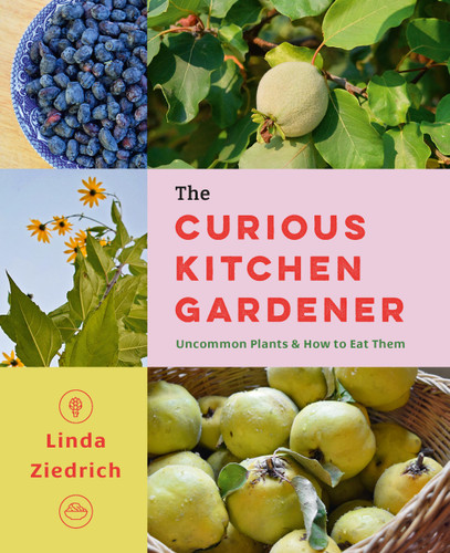 The Curious Kitchen Gardener: Uncommon Plants and How to Eat Them book cover by Linda Ziedrich