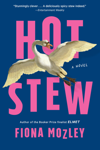 Hot Stew book cover by Fiona Mozley