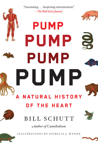 Pump: A Natural History of the Heart book cover by Bill Schutt