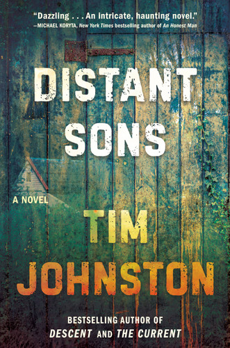 Distant Sons: A Novel book cover by Tim Johnston