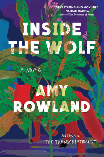 Inside the Wolf: A Novel book cover by Amy Rowland