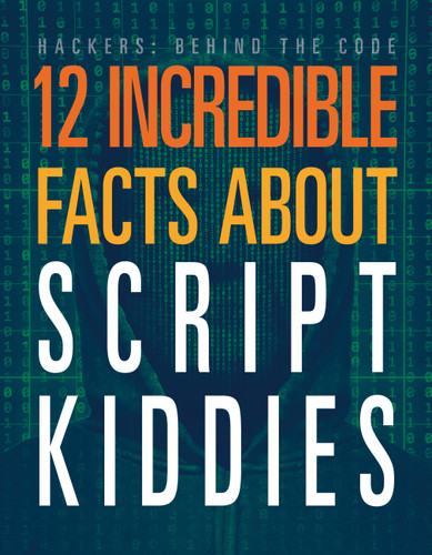 12 Incredible Facts about Script Kiddies (Hackers: Behind the Code) book cover by Meghan Hatalla