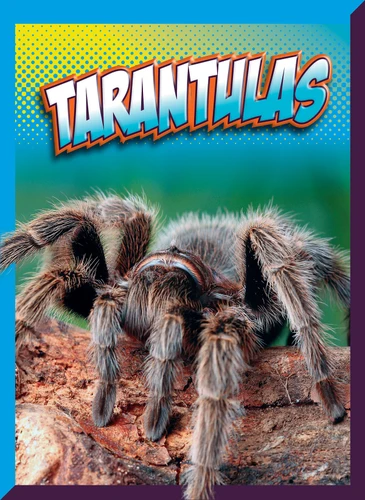 Tarantulas book cover by Marysa Storm