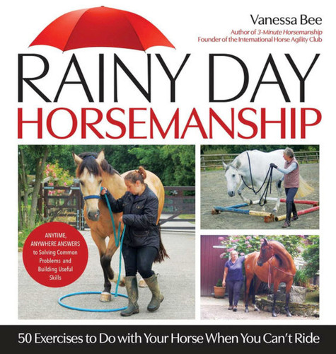 Rainy Day Horsemanship: 50 Exercises to Do with Your Horse When You Can't Ride book cover by Vanessa Bee