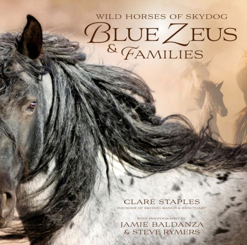 Wild Horses of Skydog book cover by Clare Staples