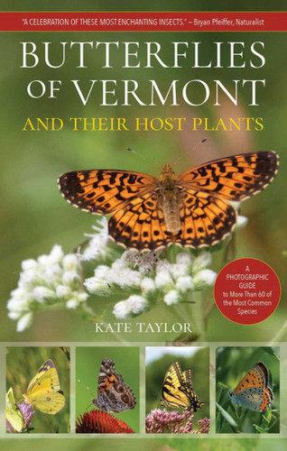 Butterflies of Vermont book cover by Kate Taylor