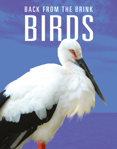 Birds: Back from the Brink book cover by Joanne Mattern