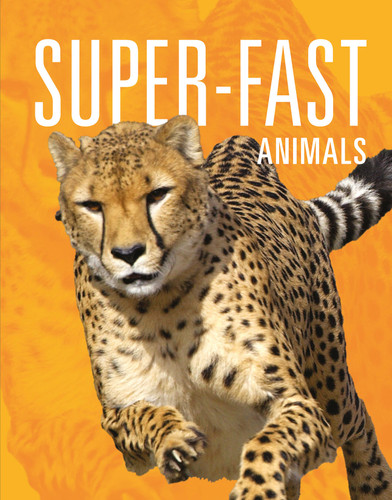 Super-Fast Animals book cover by Meg Greve