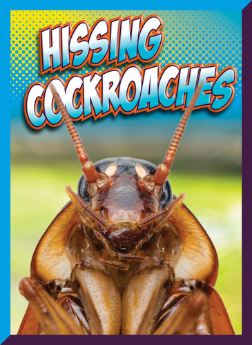 Hissing Cockroaches book cover by Marysa Storm