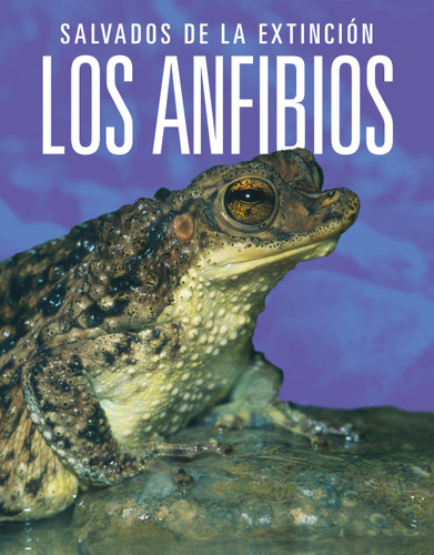 Los anfibios: Salvados de la extinción book cover by Joanne Mattern