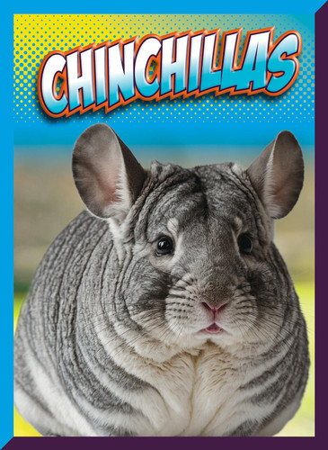 Chinchillas book cover by Marysa Storm