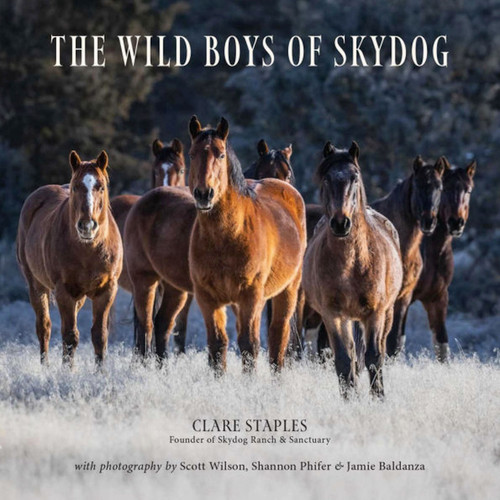 Wild Boys of Skydog book cover by Clare Staples