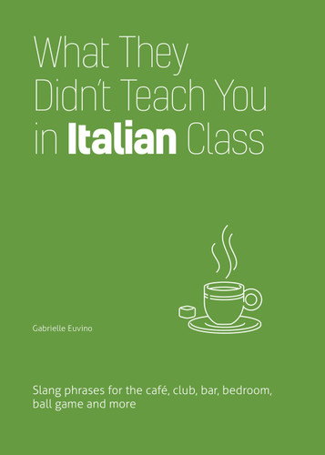 What They Didn't Teach You in Italian Class: Slang Phrases for the Cafe, Club, Bar, Bedroom, Ball Game and More book cover by Gabrielle Euvino