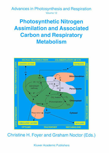 Photosynthetic Nitrogen Assimilation and Associated Carbon and Respiratory Metabolism (Advances in Photosynthesis and Respiration #12) book cover by 
