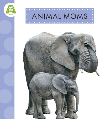 Animal Moms book cover by Golriz Golkar