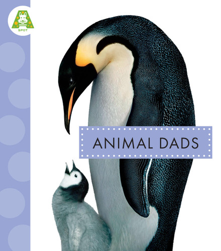 Animal Dads book cover by Mari Schuh