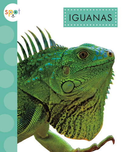 Iguanas book cover by Alissa Thielges