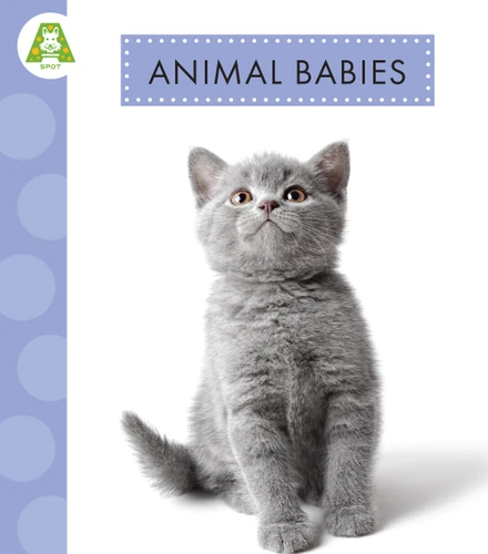 Animal Babies book cover by Anastasia Suen