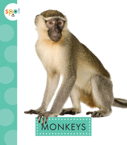Monkeys book cover by Alissa Thielges
