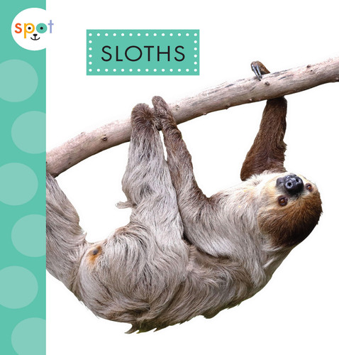Sloths book cover by Alissa Thielges
