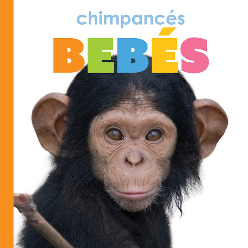 Chimpances bebes book cover by Meg Greve