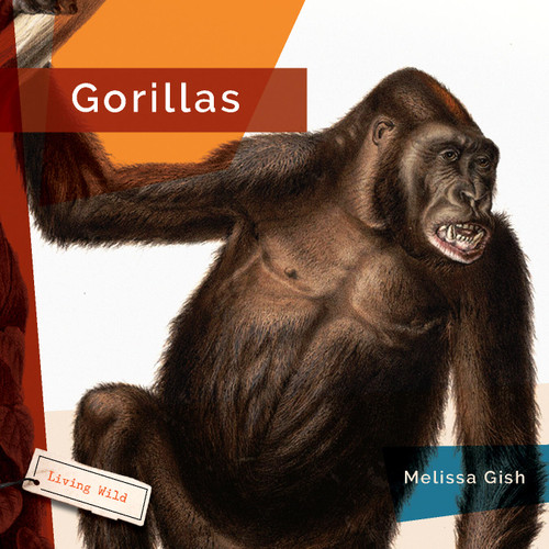 Gorillas book cover by Melissa Gish