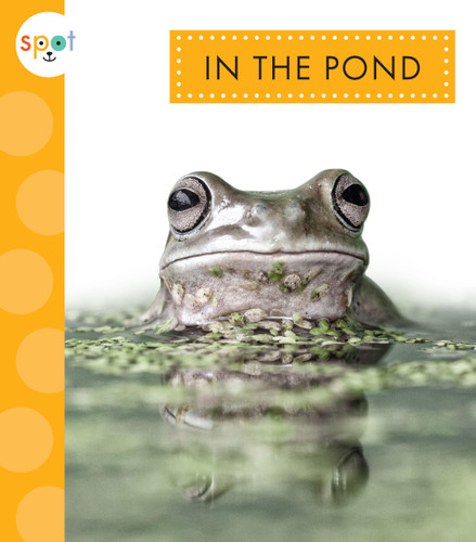In the Pond book cover by Alissa Thielges