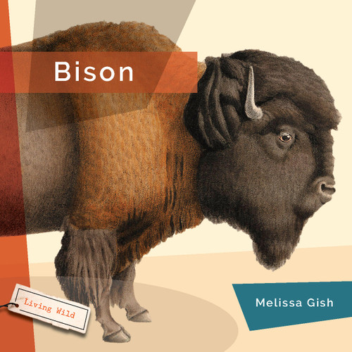 Bison book cover by Melissa Gish