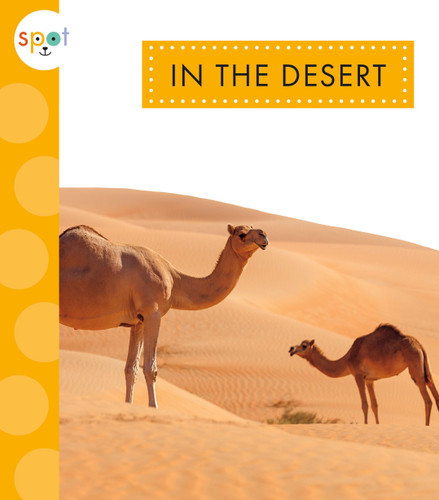 In the Desert book cover by Alissa Thielges