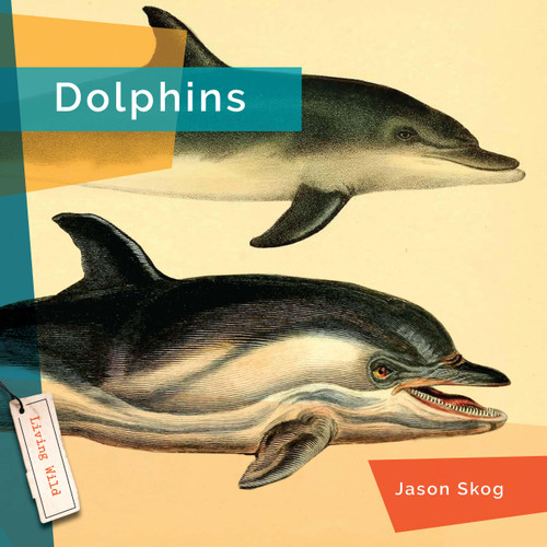 Dolphins book cover by Jason Skog