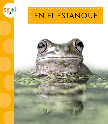 En el estanque book cover by Alissa Thielges