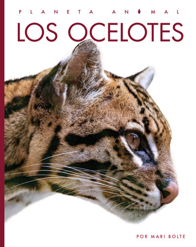 Los ocelotes book cover by Mari Bolte