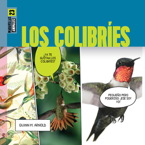 Los colibries book cover by Quinn M. Arnold