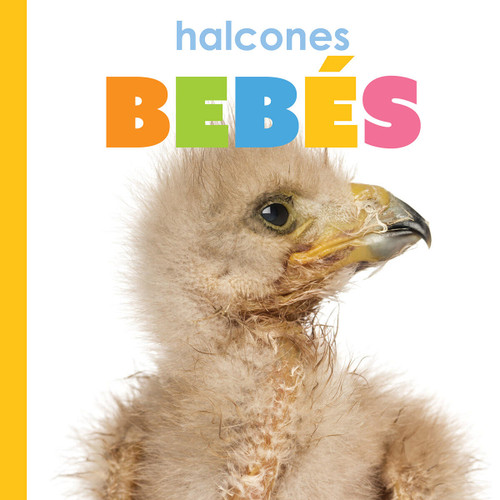 Halcones bebes book cover by Meg Greve