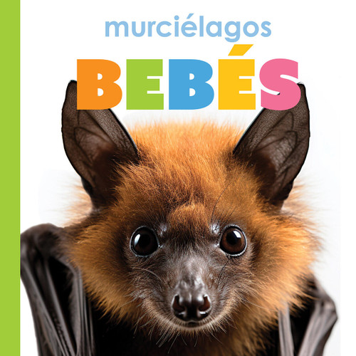 Murcielagos bebes book cover by Meg Greve