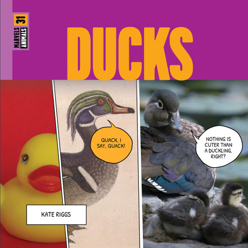Ducks book cover by Kate Riggs