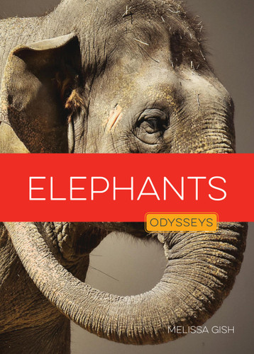 Elephants book cover by Melissa Gish