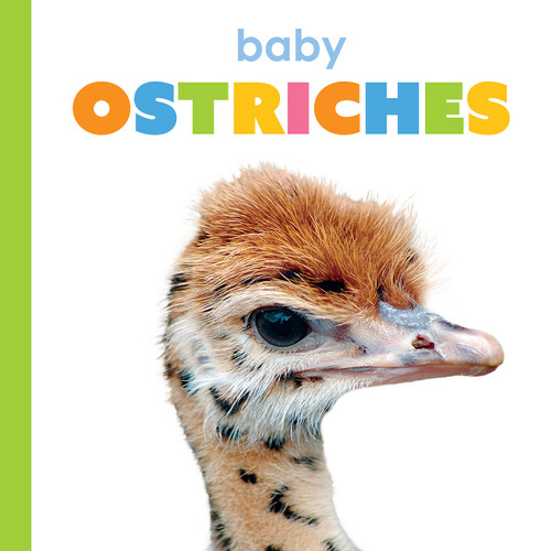 Baby Ostriches (Starting Out) book cover by Kim Thompson