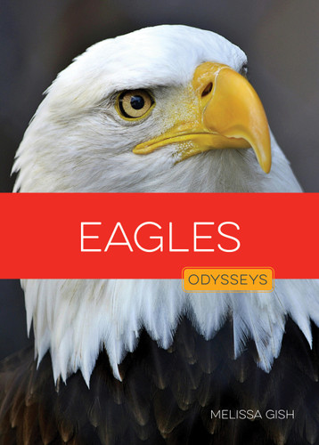 Eagles book cover by Melissa Gish