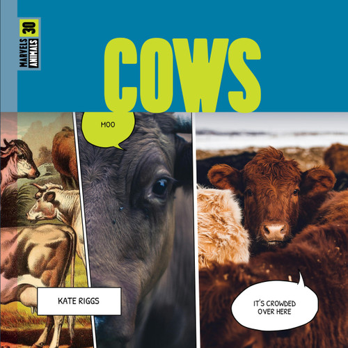 Cows book cover by Kate Riggs
