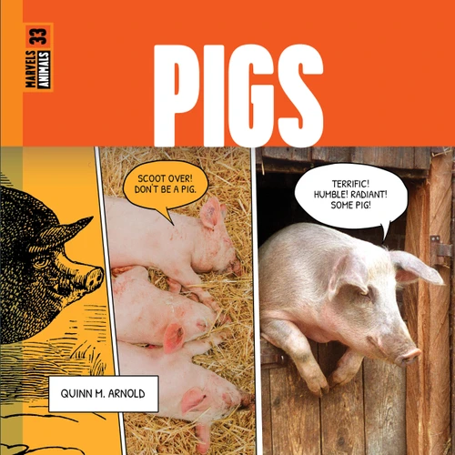 Pigs book cover by Quinn M. Arnold